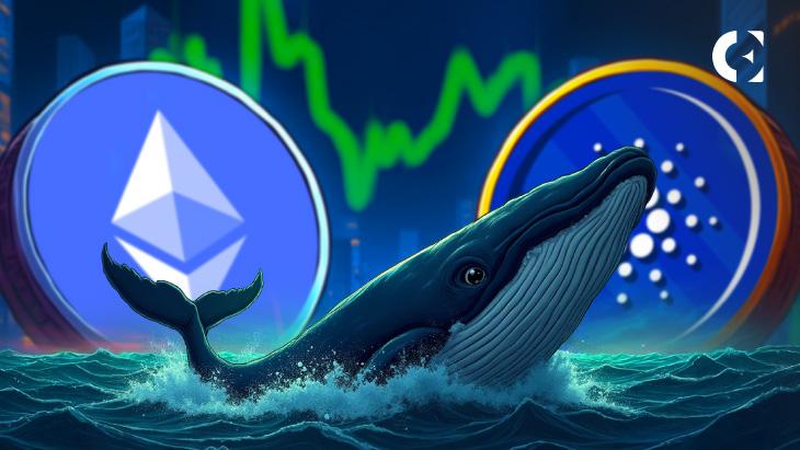 News section-Whales Accumulate ETH and ADA as Retail Sells in Fear, Data Shows