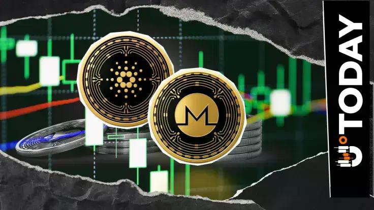 News section-Cardano and Monero (XMR) in Tussle for Crypto Ranking, Who Will End up Ahead?