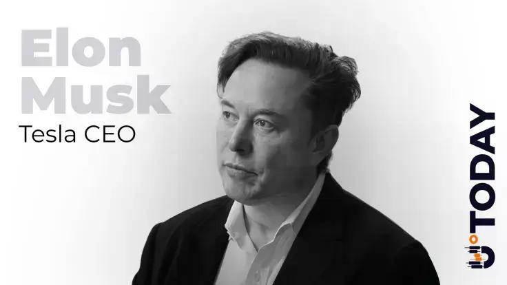 elon-musks-x-to-take-drastic-measures-against-crypto-scam
