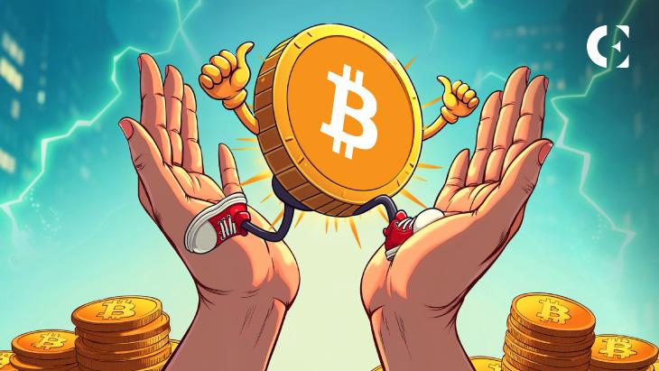 News section-Bitcoin Analysis: Corporate Treasuries Swell as On-Chain Activity Points Upward