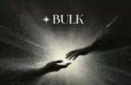 种子轮融资800万美元，Bulk Trade凭什么生闯Perp DEX红海？