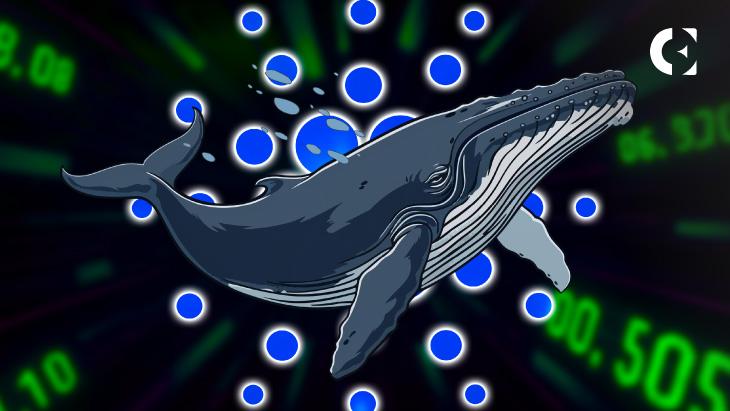 News section-Cardano Whale: ADA’s Long-Term Strength Rests on Organic Demand, Not Hype