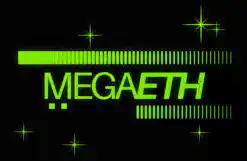 MegaETH究竟是怎么分配公募份额的?