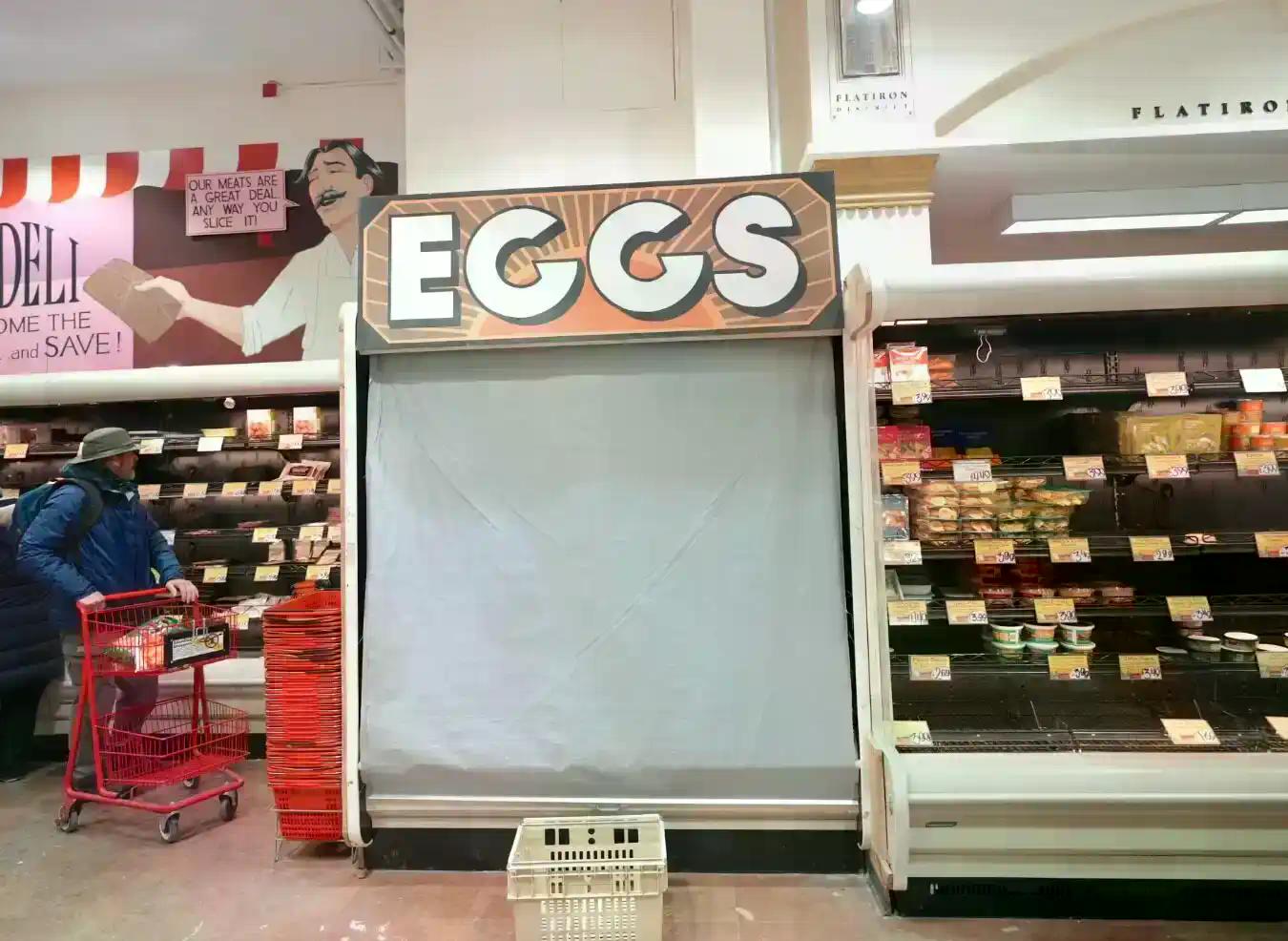 纽约「送鸡蛋」大战:Polymarket开店、Kalshi发券,巨头们打的什么算盘?