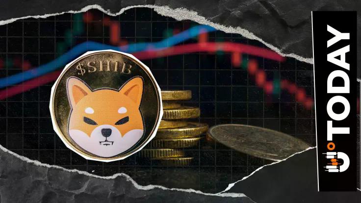 major-korean-crypto-exchange-challenges-binance-for-shiba-inu-shib-market-as-volume-tanks-35-in-24