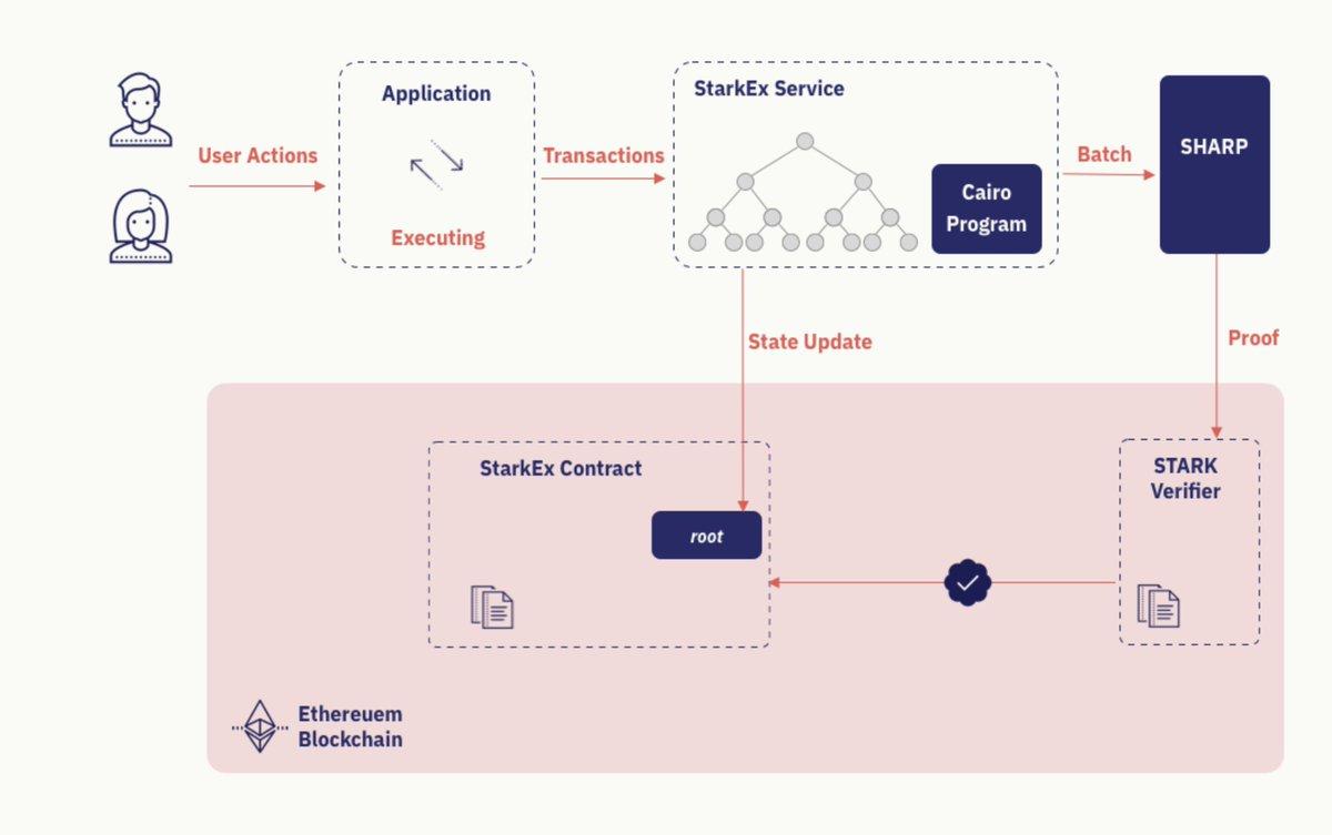 狂涨6000%后,永续合约DEX赛道的“下个Aster”在哪?