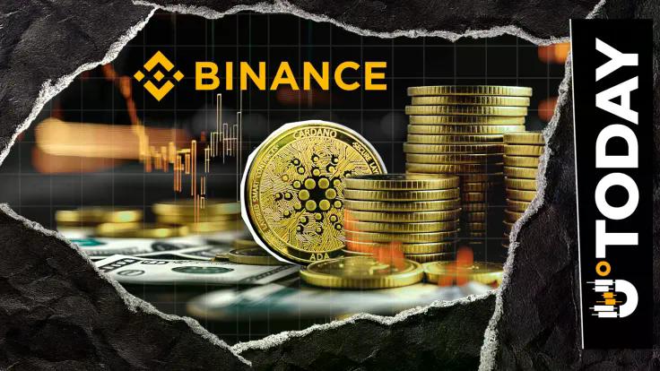 News-Bereich-Binance eröffnet Notierung für sieben Krypto-Paare zum Monatsende März: Cardano-Token auf der Liste
