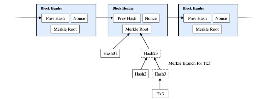 手机也能运行BTC节点? StarkWare 轻量级BTC验证方案揭秘