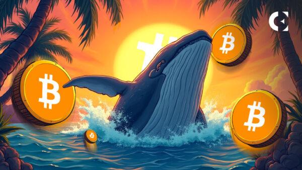 News section-Whale Wallets Dormant 7 Years Move Bitcoin to Binance, But Market Holds $106K