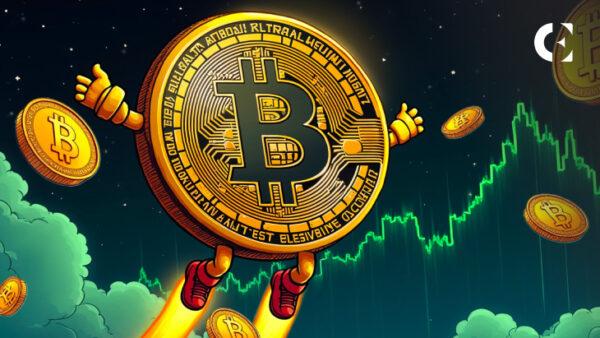 News section-Macro Indicators Rhyme With 2017 Bull Run When Bitcoin Surged 23x – Analyst