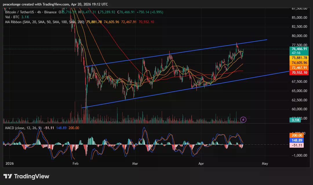Will Bitcoin price break above $77,500 or reverse as the 4H MACD prints a bearish crossover at ascending channel resistance? - 2