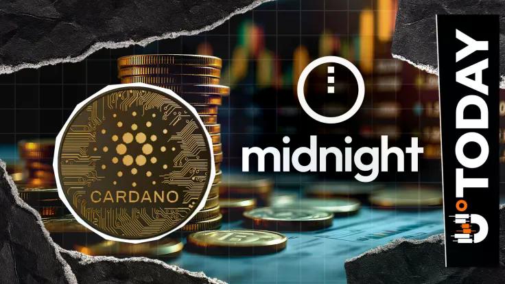 midnight-isnt-hurting-cardano-insider-defends-charles-hoskinsons-vision