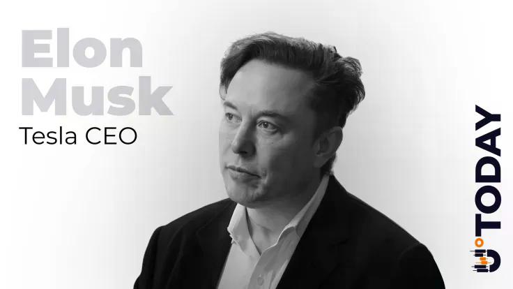 News section-Elon Musk Names Surprising Advantage of Quantum Crypto Hacks