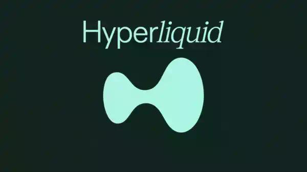 Hyperliquid将推出投资组合保证金，必杀技还是凶器？