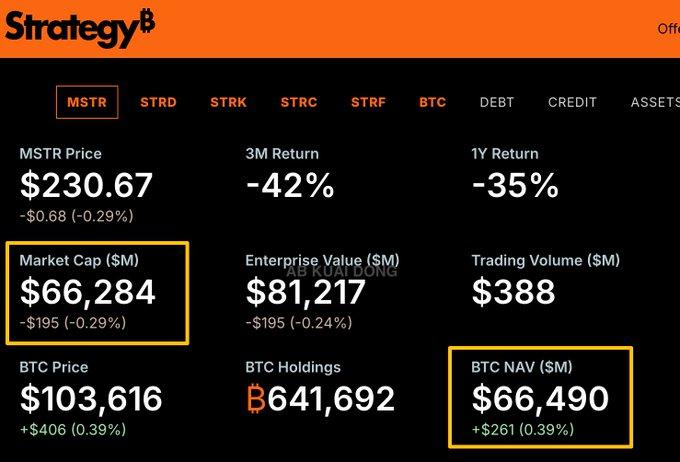 DATCo 2.0 诞生：当散户恐慌折价时，贝莱德正在悄悄入场
