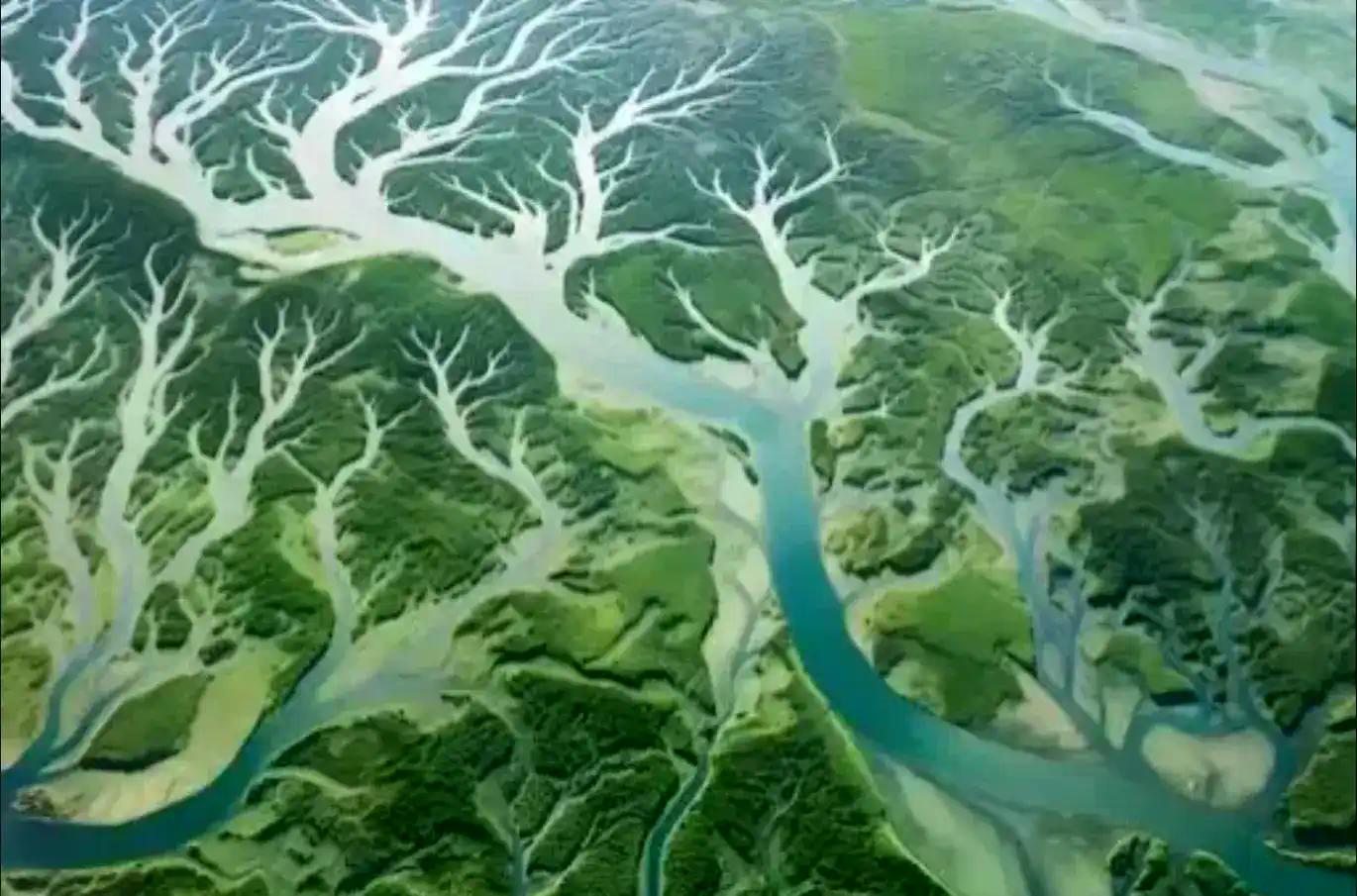 Visa 启示录：50 年轮回的稳定币“碎片化困局”