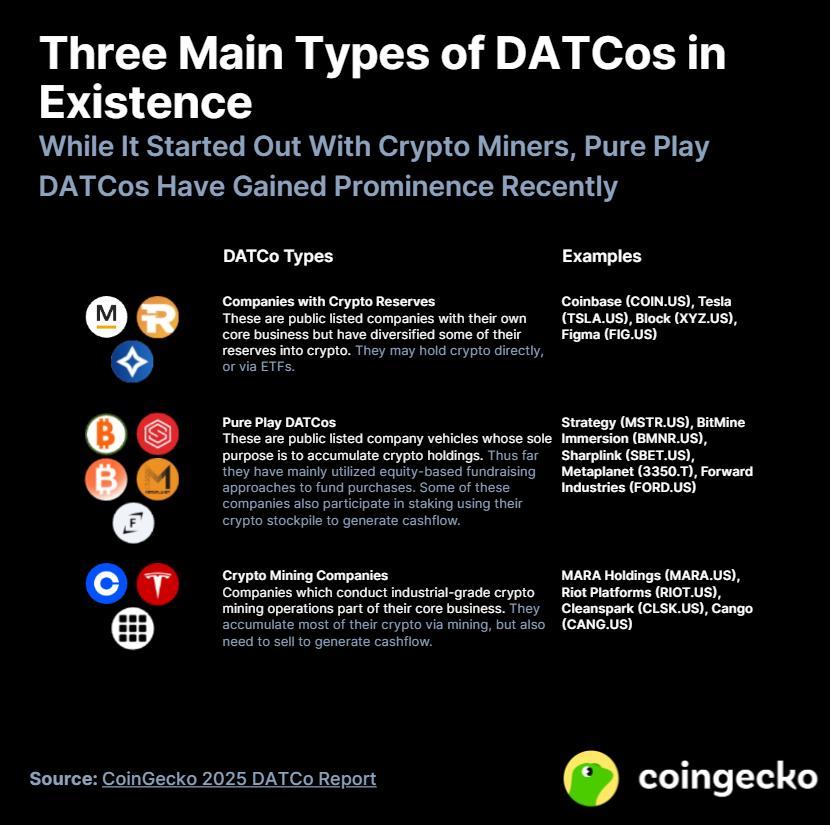 CoinGecko：2025 数字资产财库公司（DATCo）年度报告