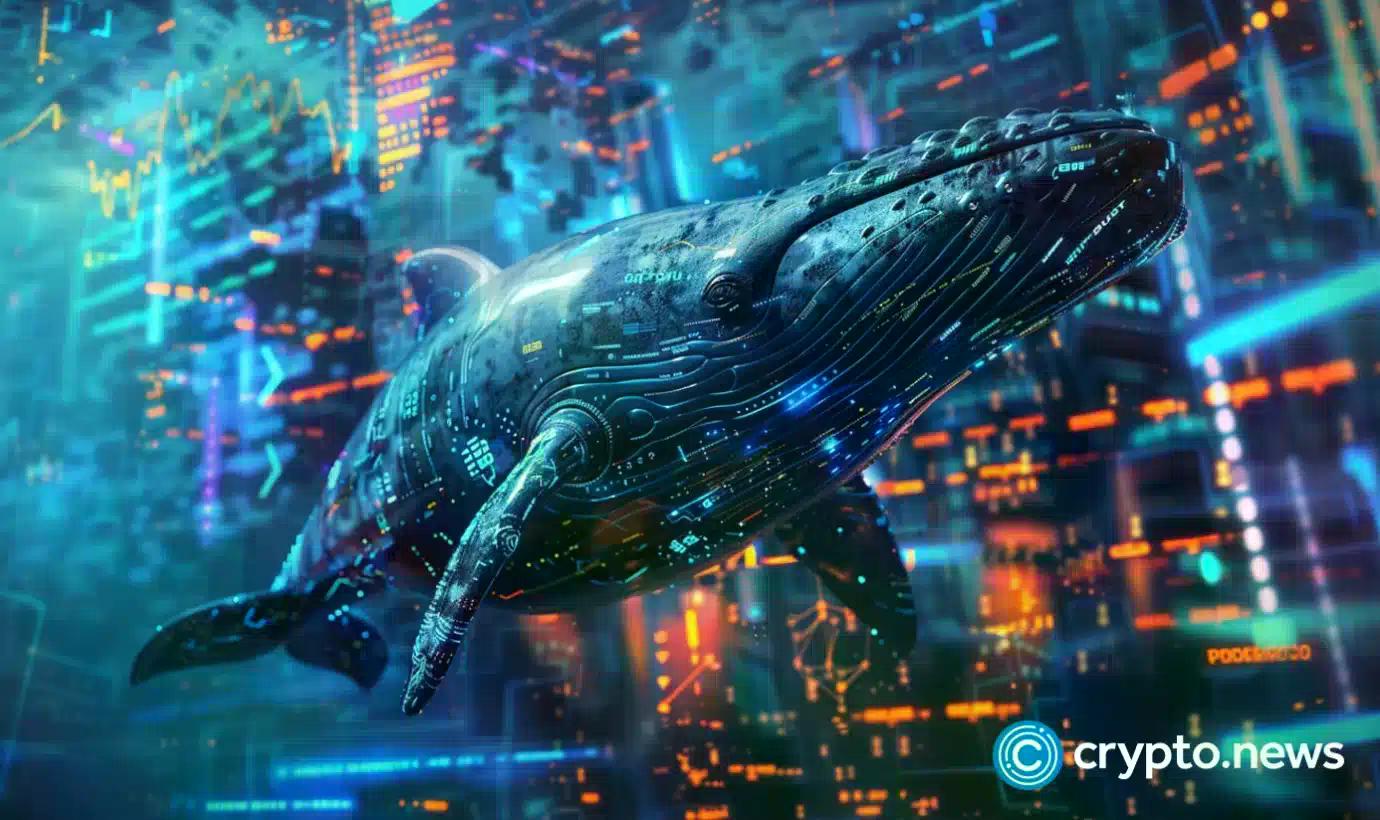 Section Actualités-Une baleine accumule 72 000 HYPE d’une valeur de 30,6 millions de dollars