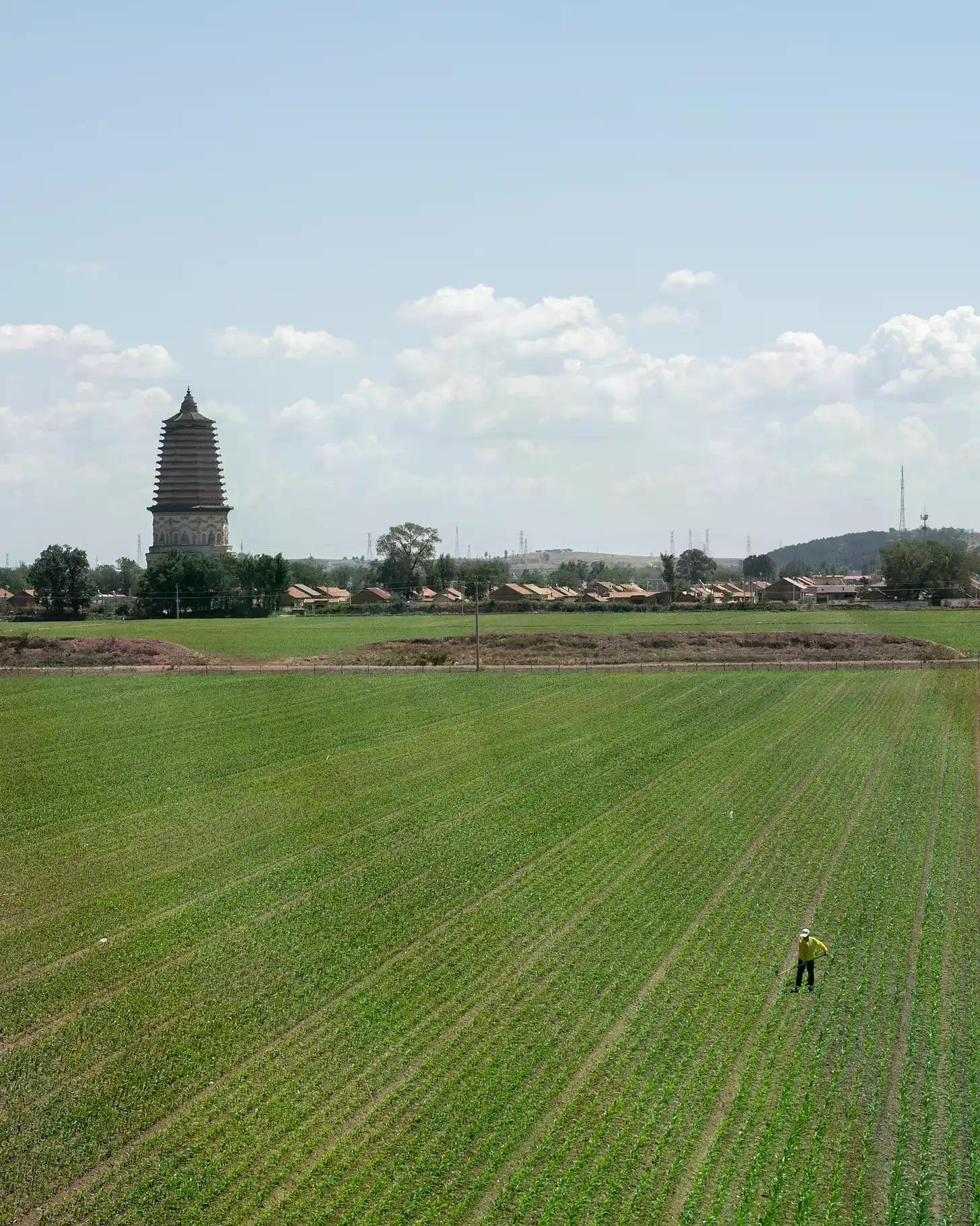 CZ最新投的Funes是做什么的？