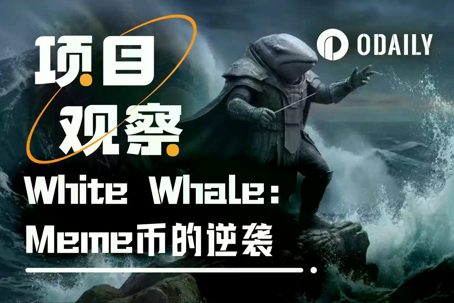 White Whale：一个“必死”Meme币，如何在30天完成500倍逆袭？