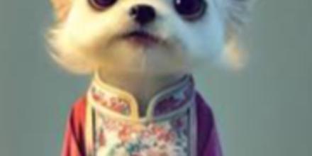 合约鬼才or风向猎手？解密加密KOL川沐的百万美元"反复横跳"交易术