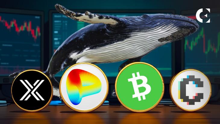 News section-Santiment Data Reveals Whale Buying Surge in These 4 Altcoins