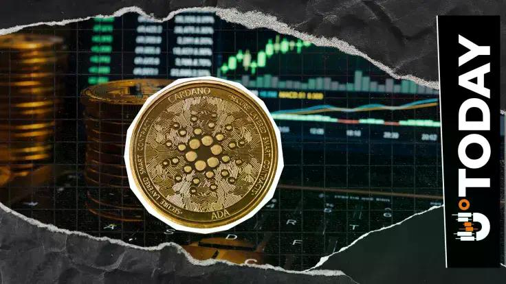 News section-Cardano (ADA) Volume Soars 79% as Price Sees New Weekly Rebound