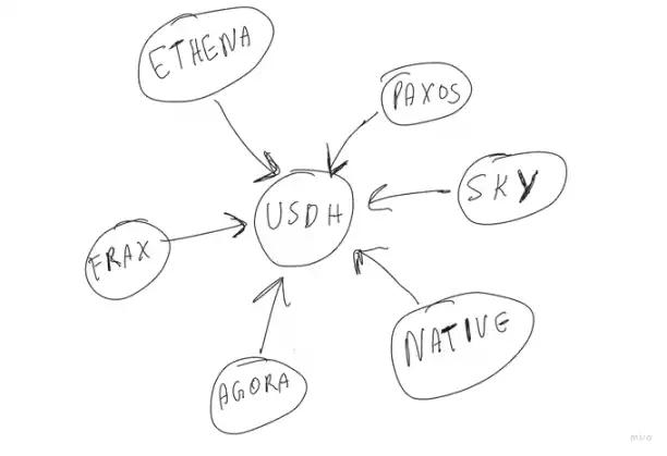 USDH争夺战:盘点六大竞争者,谁能吃下这块「肥肉」?
