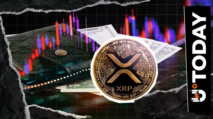 41-average-losses-hit-xrp-wallets-opportunity-or-warning