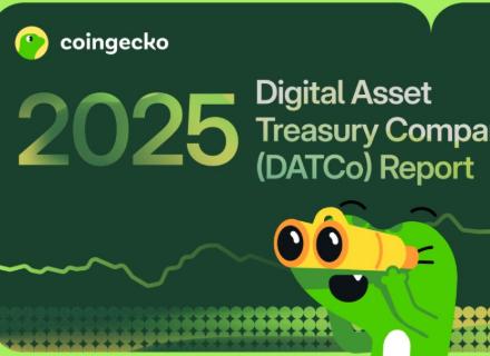 CoinGecko：2025 数字资产财库公司（DATCo）年度报告